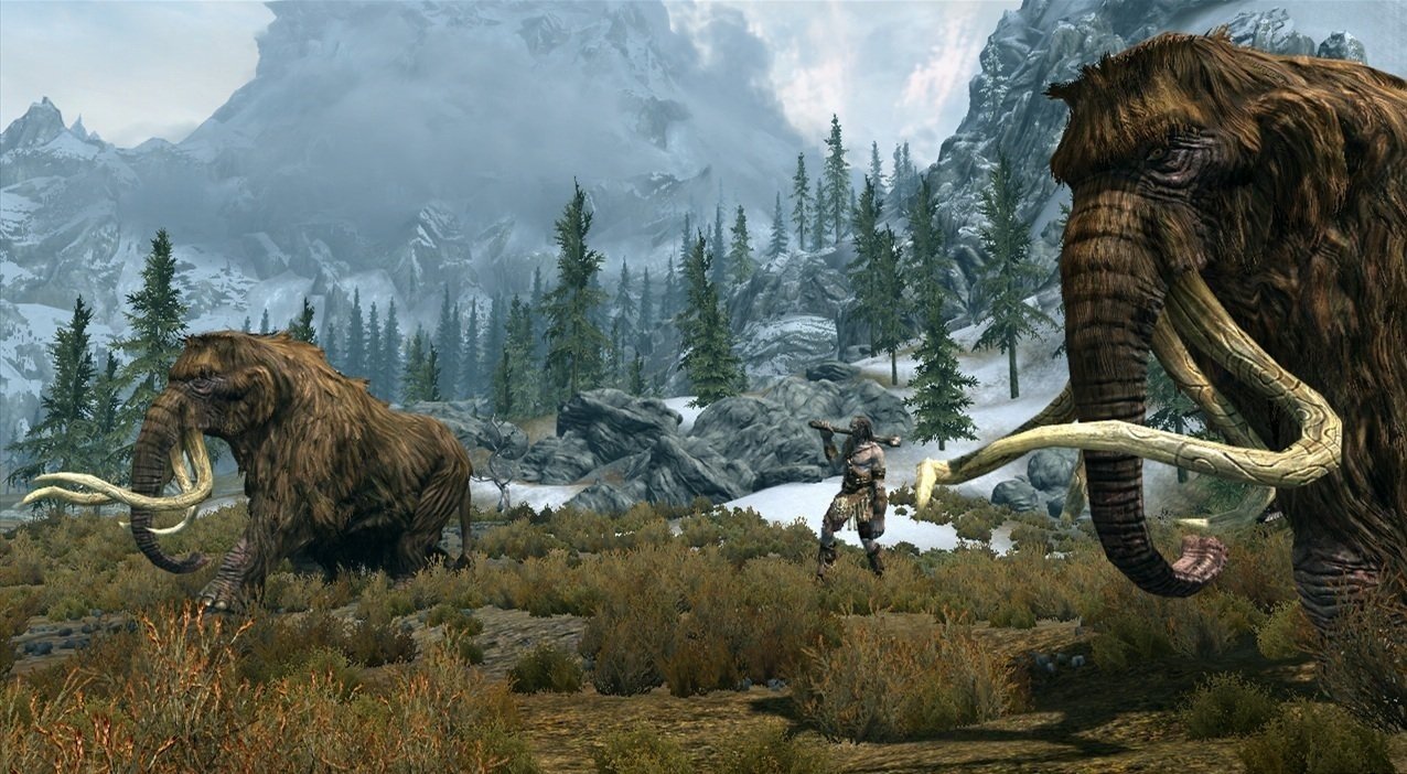 The Elder Scrolls V: Skyrim