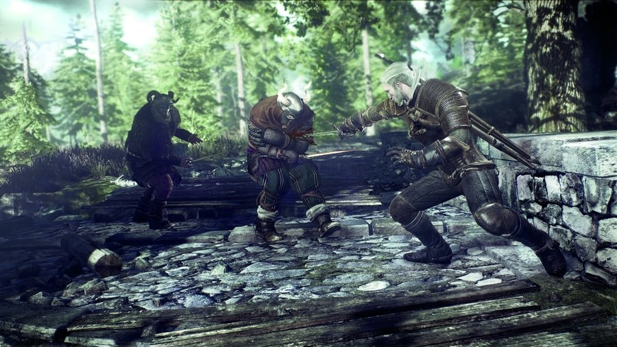 The Witcher 3: Wild Hunt 