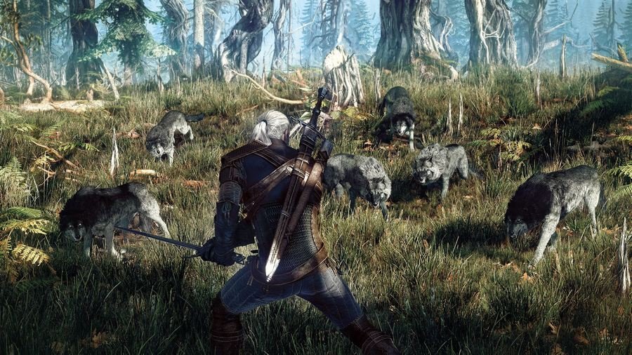 The Witcher 3: Wild Hunt 