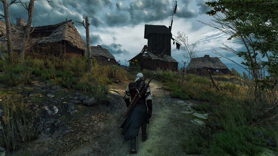 The Witcher 3: Wild Hunt 