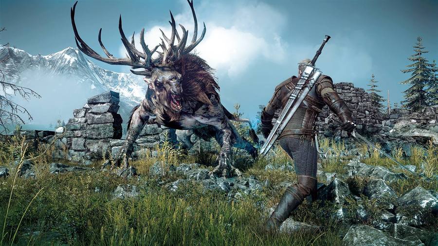 The Witcher 3: Wild Hunt 