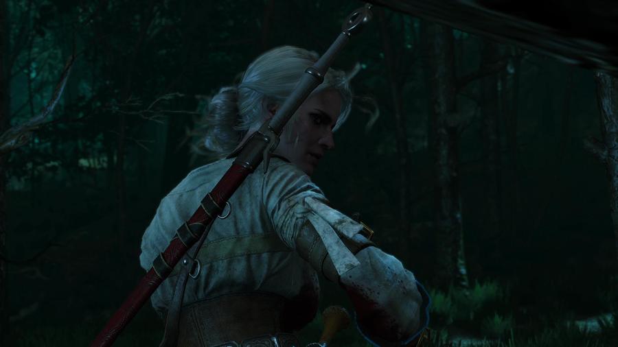 The Witcher 3: Wild Hunt 