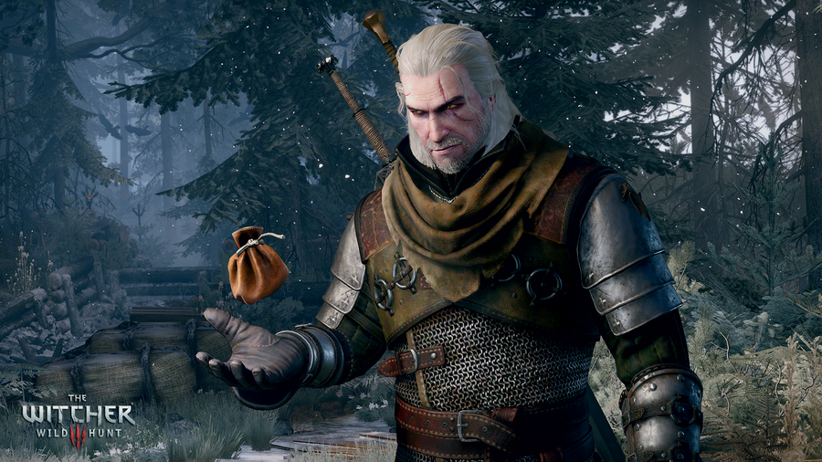 The Witcher 3: Wild Hunt 