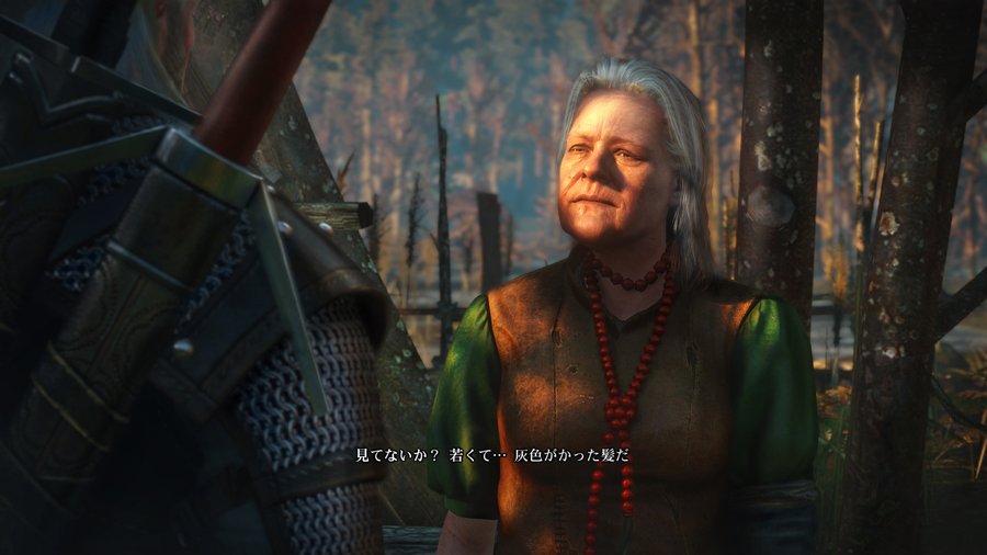 The Witcher 3: Wild Hunt 