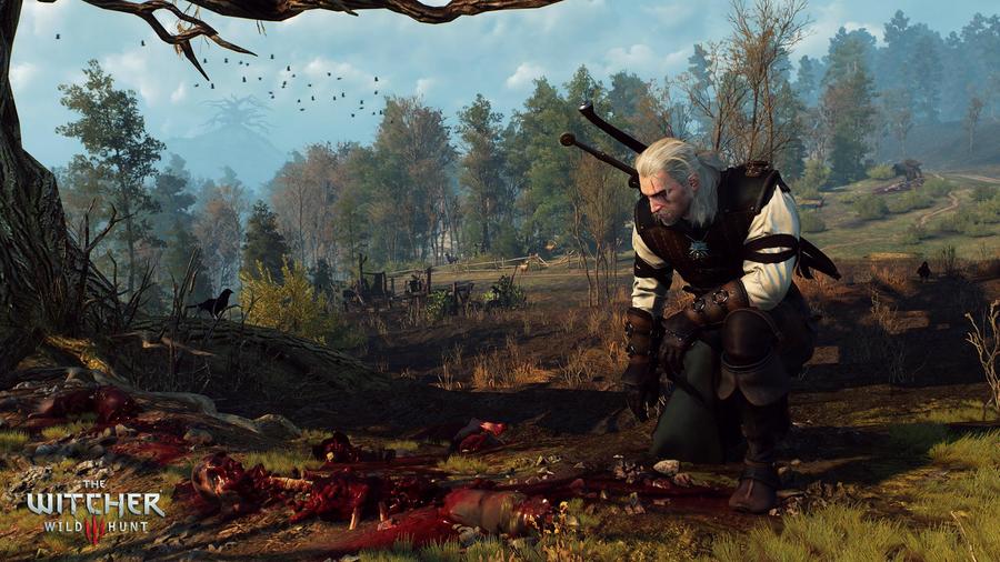 The Witcher 3: Wild Hunt 