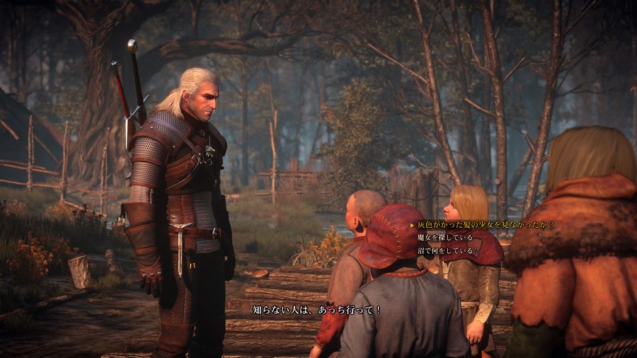 The Witcher 3: Wild Hunt 