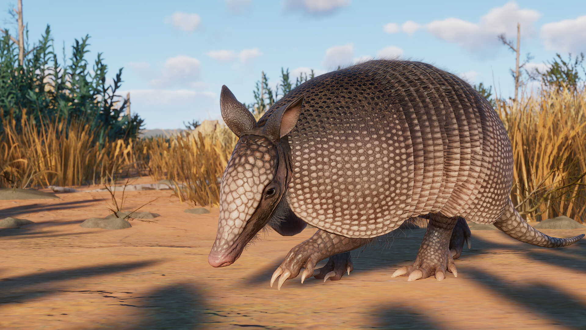 Planet Zoo: Grasslands