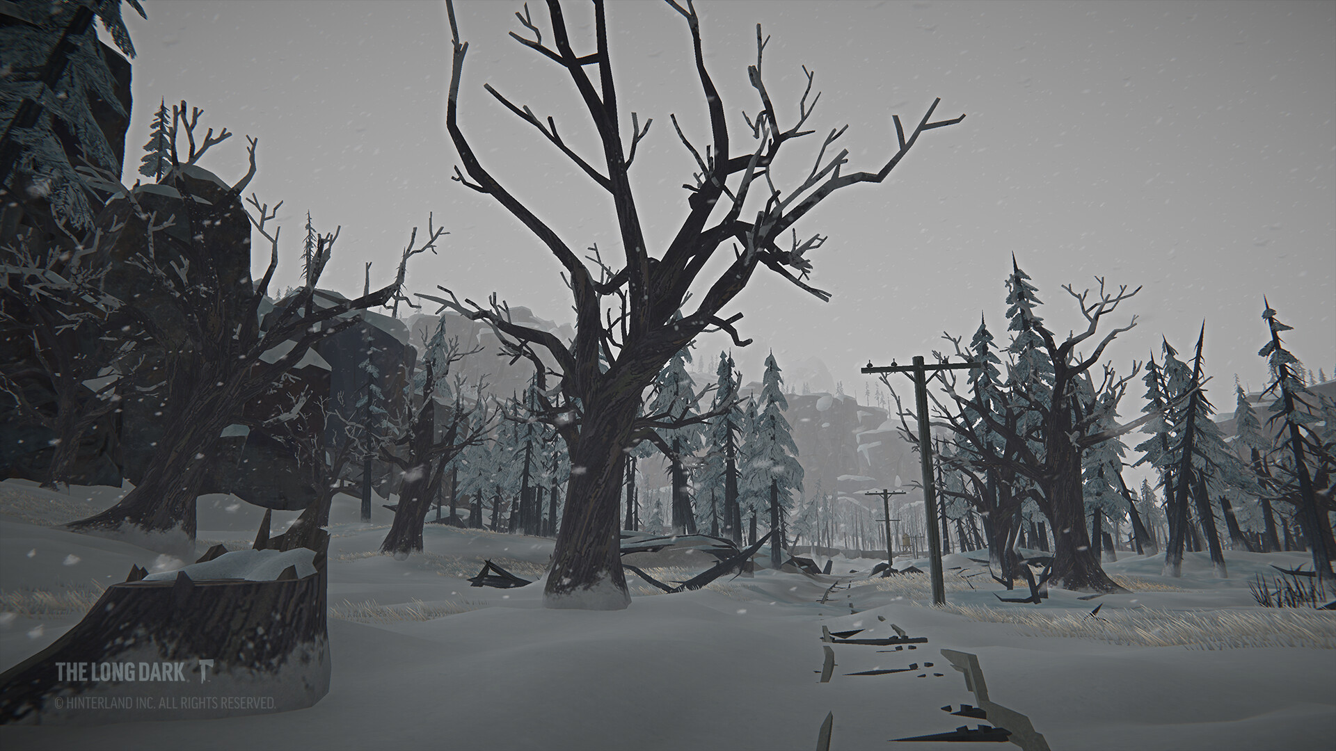 The Long Dark: Tales from the Far Territory