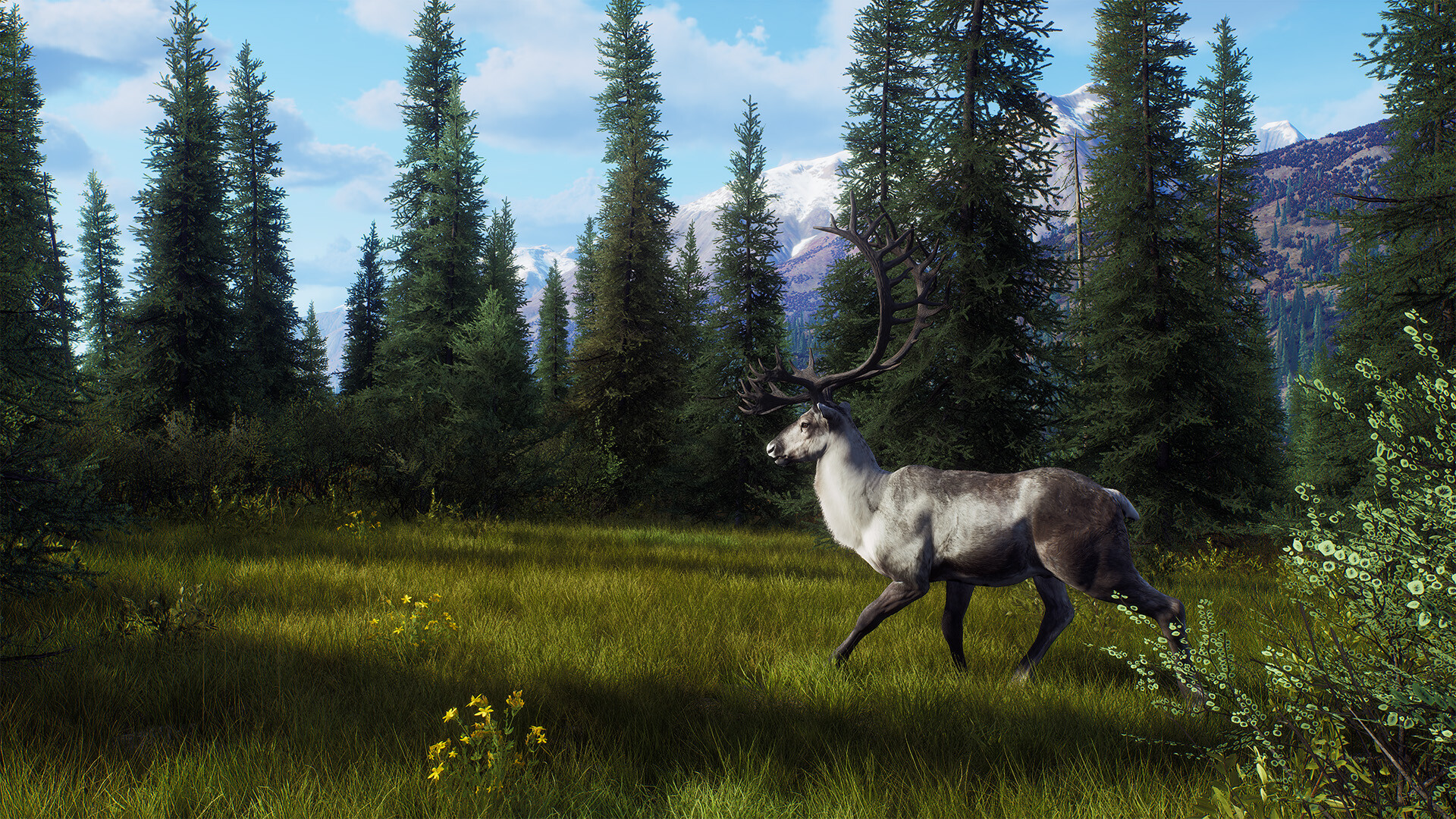 Steam must be running to play this title как исправить the hunter фото 102