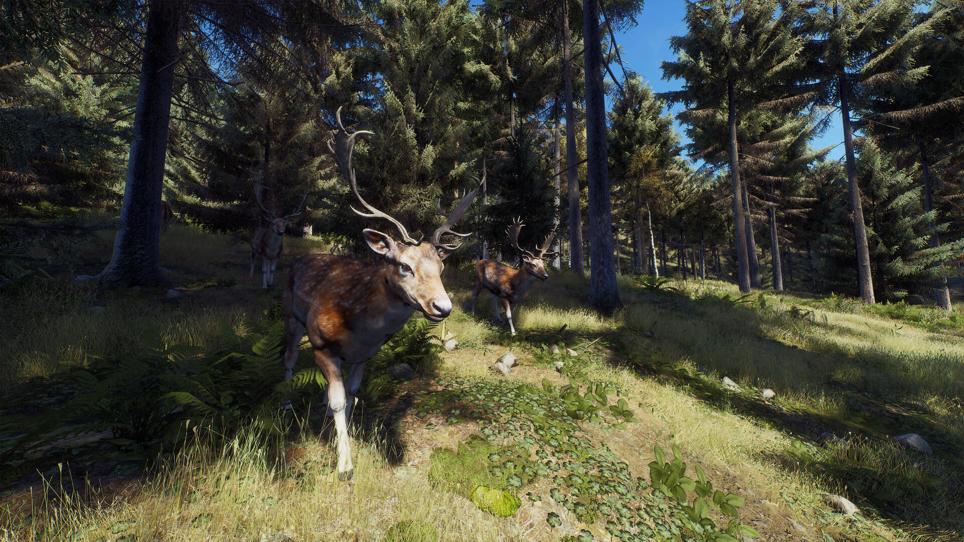 трейнер для the hunter call of the wild no steam фото 109