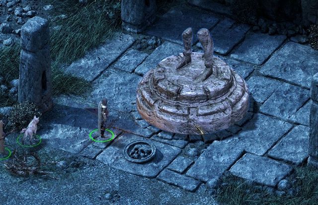 Pillars of eternity кровавое наследие прохождение