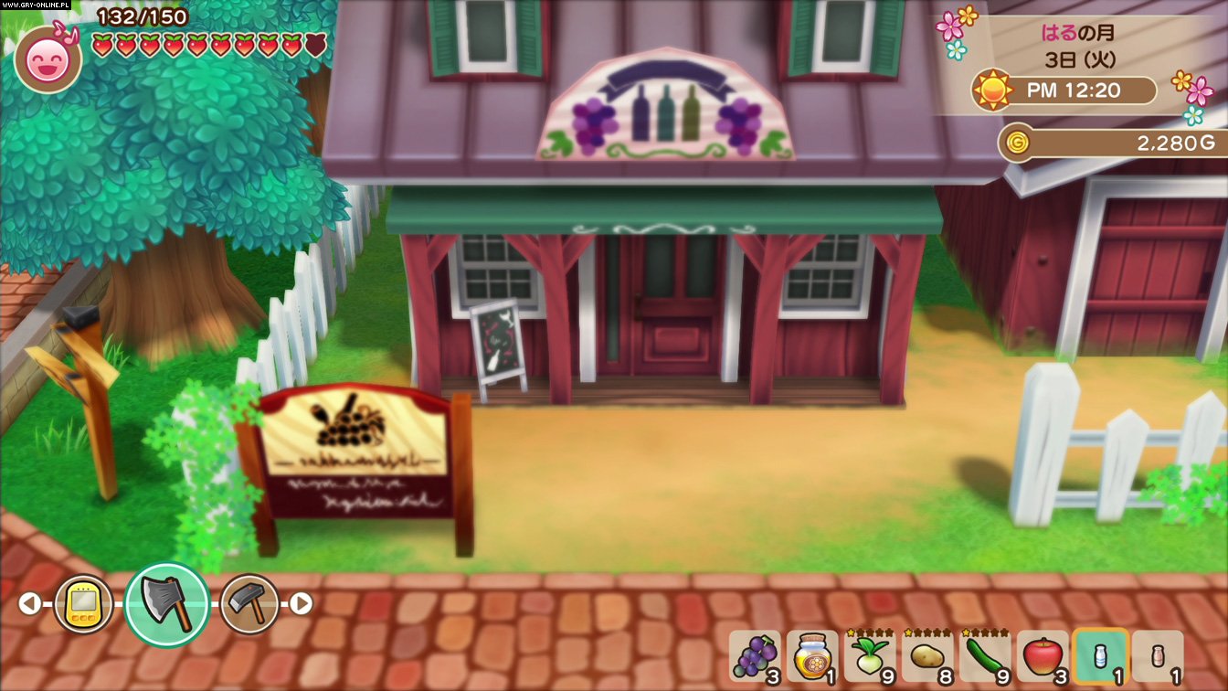 Story of Seasons: Friends of Mineral Town