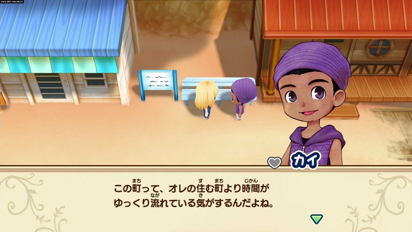 Story of Seasons: Friends of Mineral Town