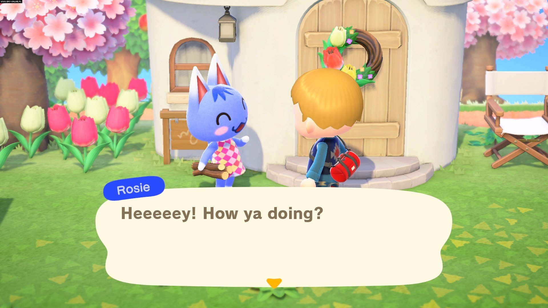 Animal Crossing: New Horizons