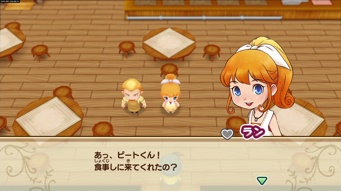 Story of Seasons: Friends of Mineral Town