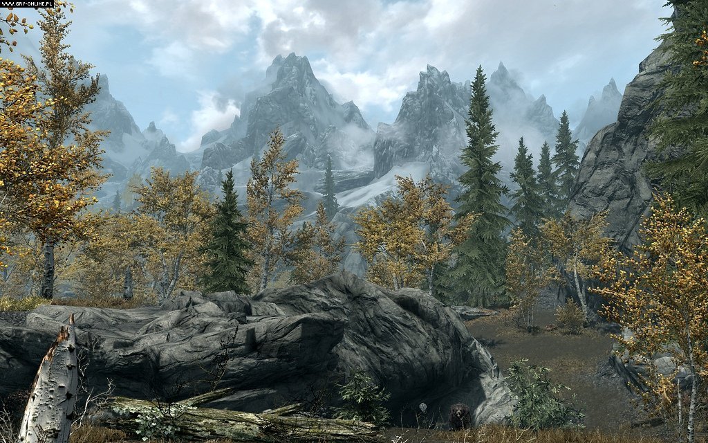 The Elder Scrolls V: Skyrim Anniversary Edition