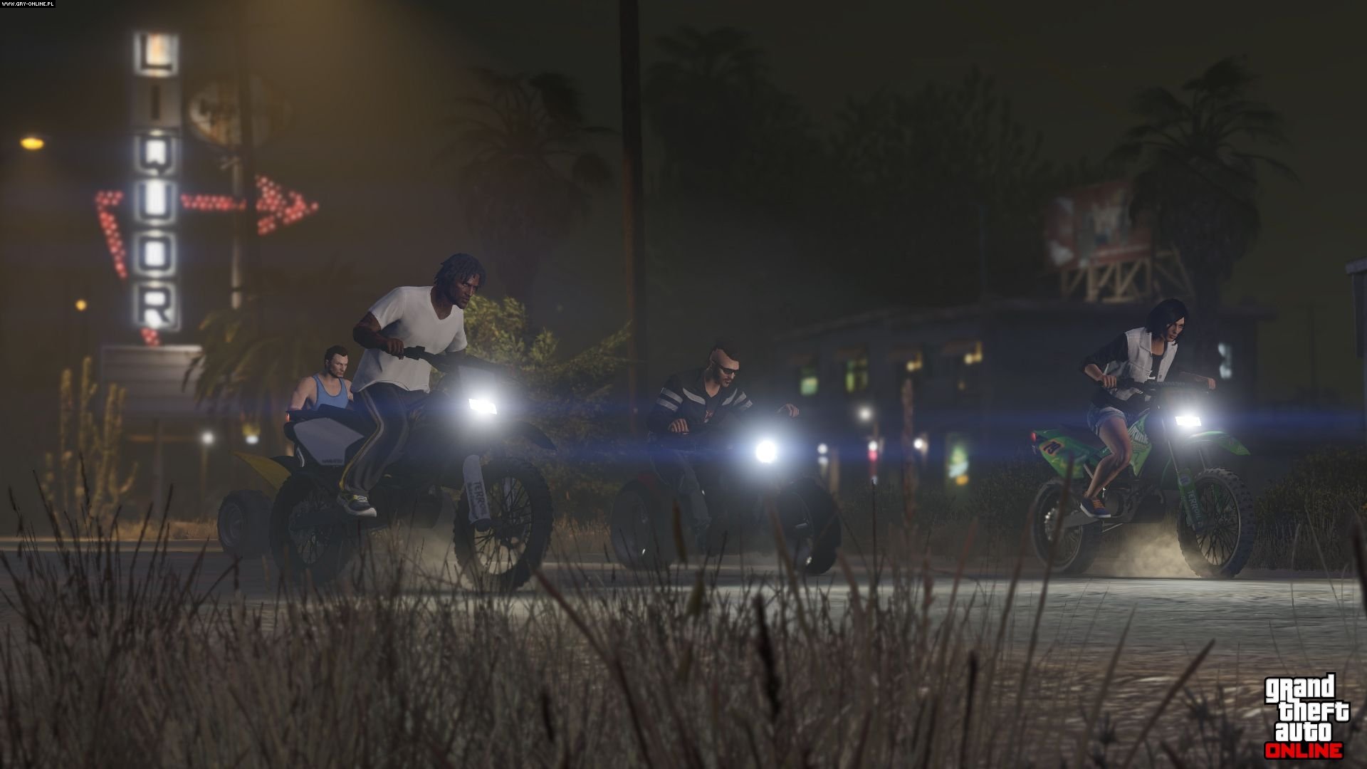 Grand Theft Auto Online