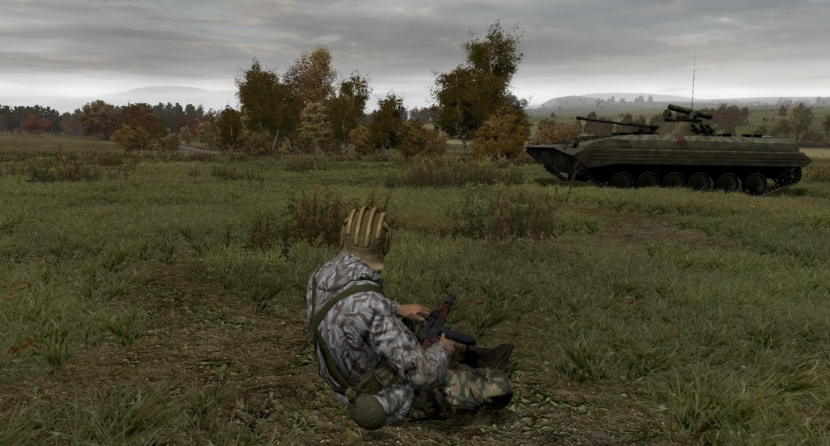 Arma 2