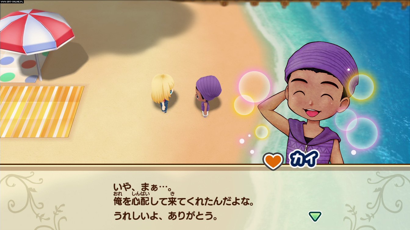 Story of Seasons: Friends of Mineral Town