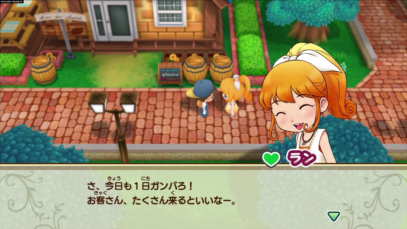 Story of Seasons: Friends of Mineral Town