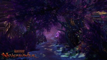 Neverwinter скриншоты