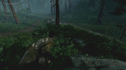 Ghost of Tsushima скриншоты