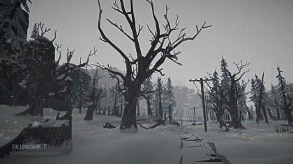 The Long Dark: Tales from the Far Territory скриншоты